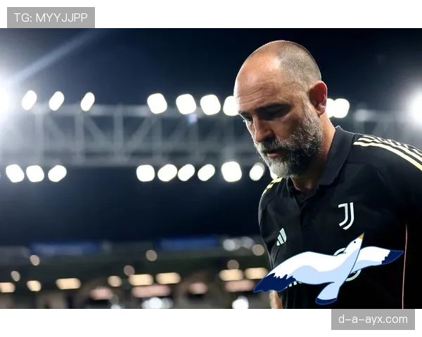 意甲斑马军团强势回归,荣耀与挑战交织的新赛季启幕 意甲斑马军团强势回归,荣耀与挑战交织的新赛季启幕