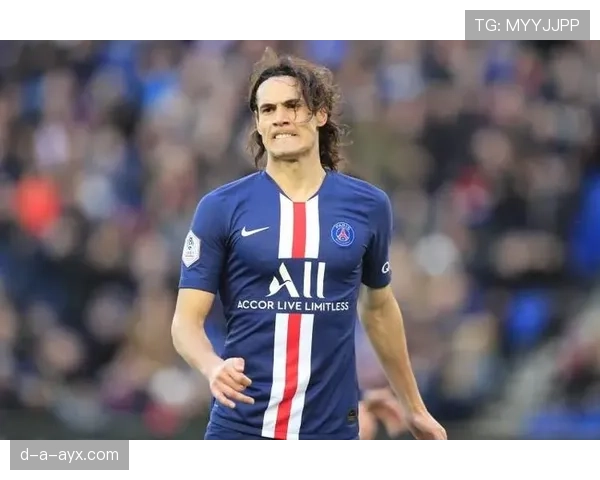 新赛季启幕,专家聚焦焦点球员表现势头引关注 新赛季启幕,专家聚焦焦点球员表现势头引关注