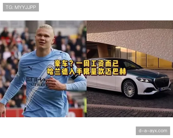 哈兰德今天又把豪车停成小菜一碟，普通人看着只想哭